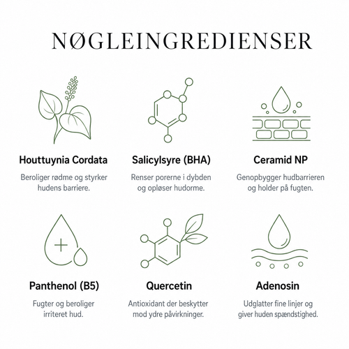 Heartleaf Komplet Hudplejerutine, 4 trin til roligere hud