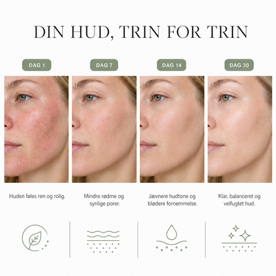 Komplet hudplejerutine i fire trin med Houttuynia Cordata