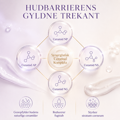 Natcreme – Hudfornyende
