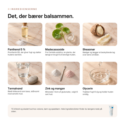 Moisturizing Repair Cream, ingredienserne